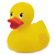 For Duck